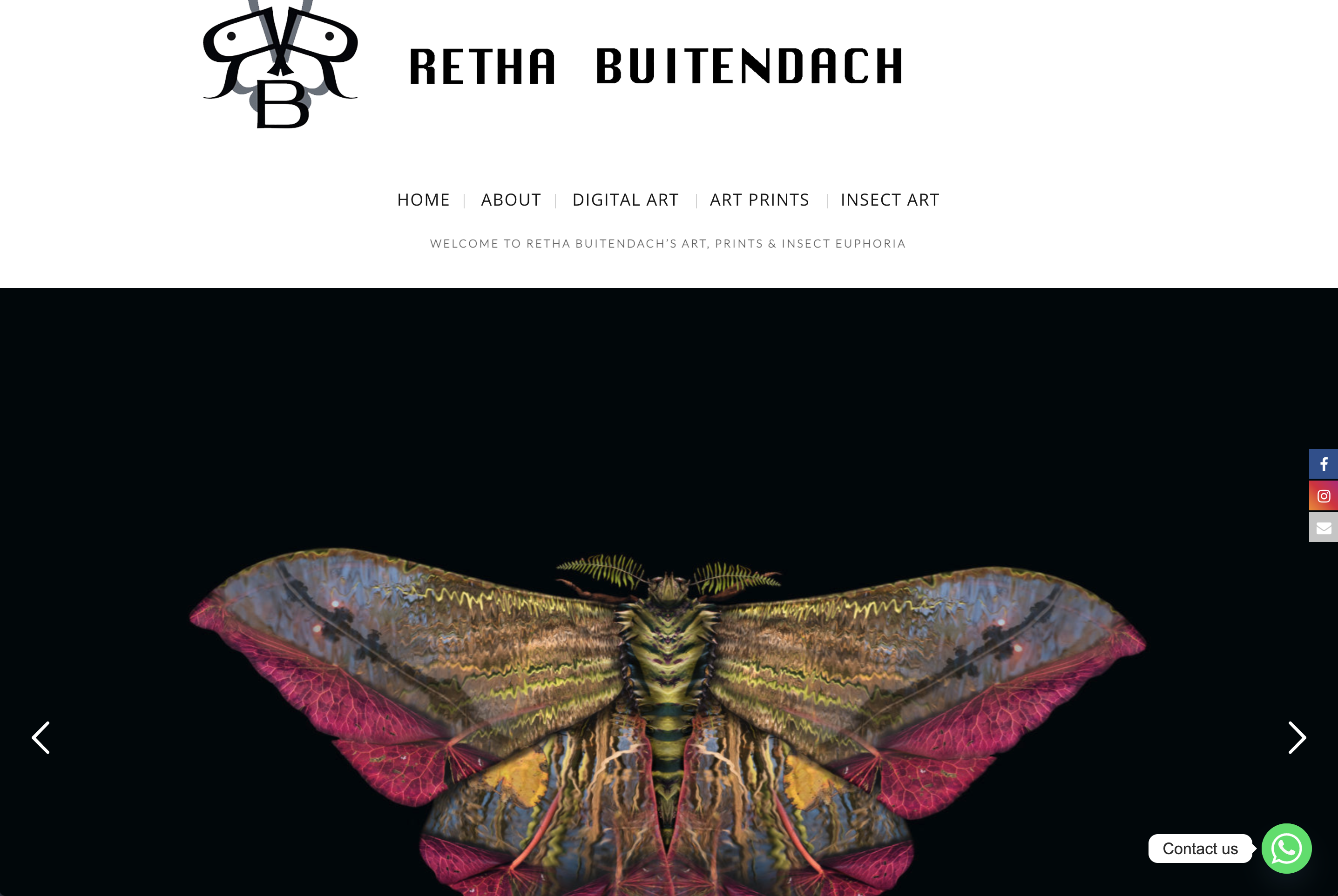 Grapeseed Web Design
