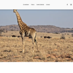 Grapeseed Web Design
