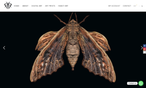 Grapeseed Web Design