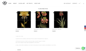 Grapeseed Web Design