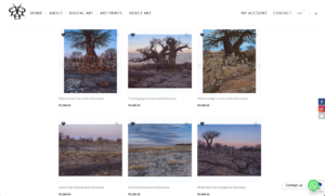 Grapeseed Web Design