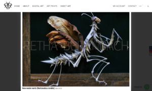 Grapeseed Web Design