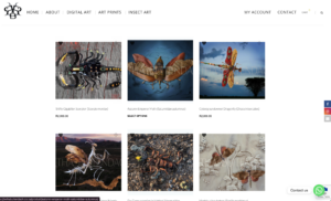 Grapeseed Web Design